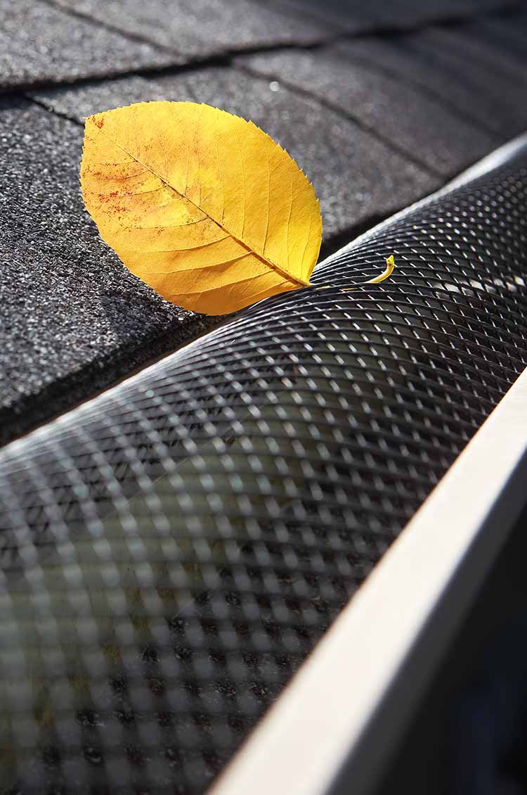 Gutter Guard 
